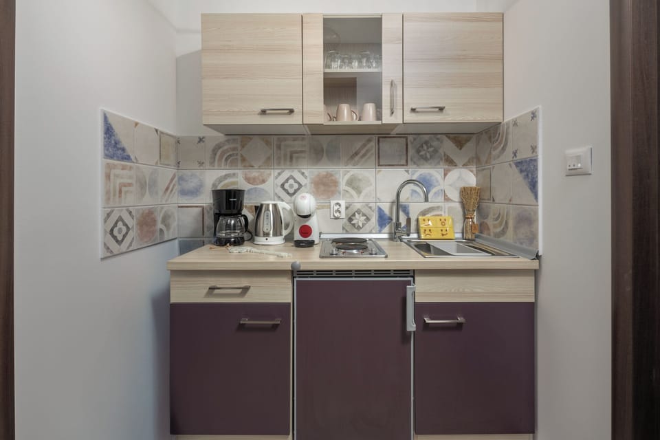 Fridge, oven, stovetop, coffee/tea maker