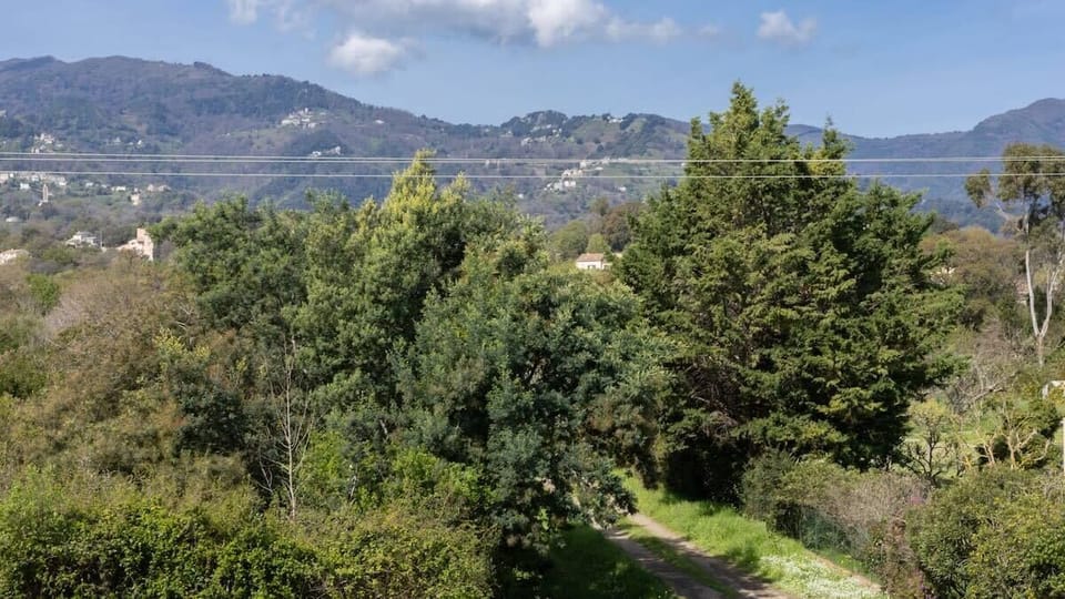 Vue