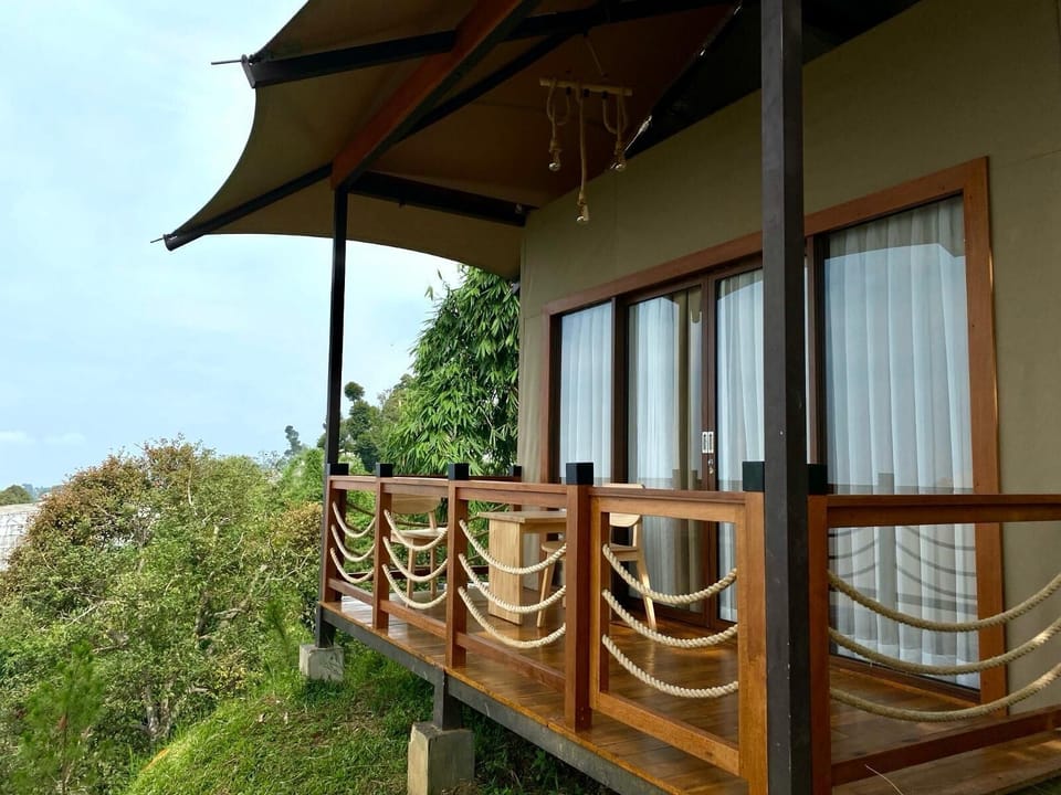 View from room