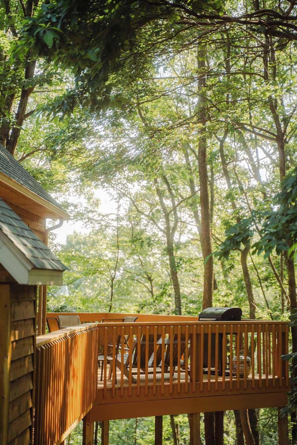 Outdoor Deck: Relax amidst nature on this sun-kissed deck with stunning forest views!