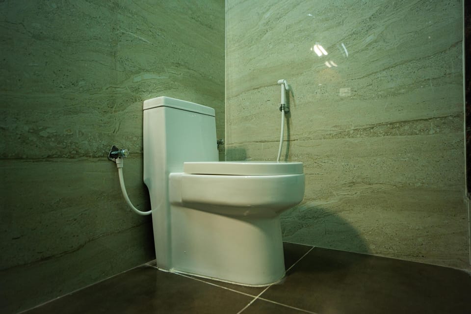 Deluxe Double Room | Bathroom | Shower, free toiletries, towels, soap