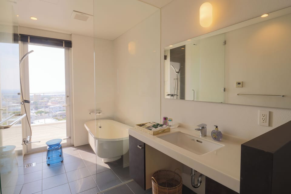Separate tub and shower, hair dryer, slippers, bidet