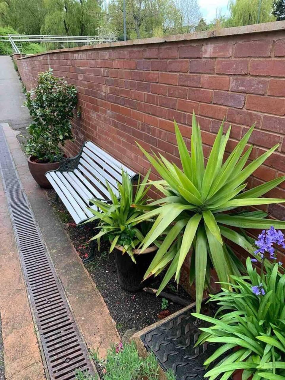 Cottage | Terrace/patio