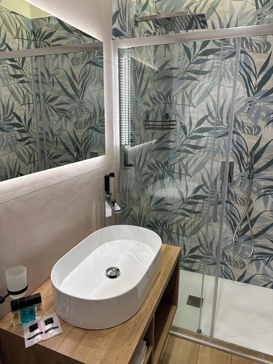 Shower, hair dryer, slippers, bidet