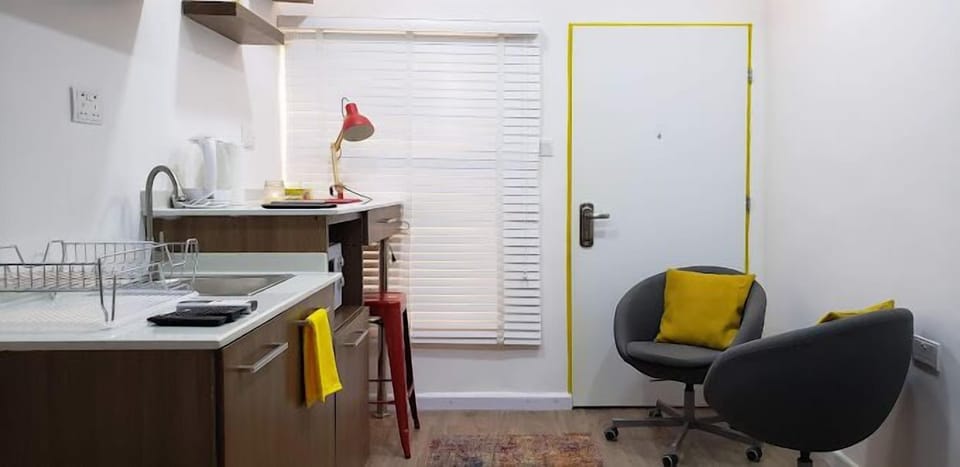 Deluxe Apartment, Balcony, City View | Private kitchen | Fridge, microwave, oven, stovetop