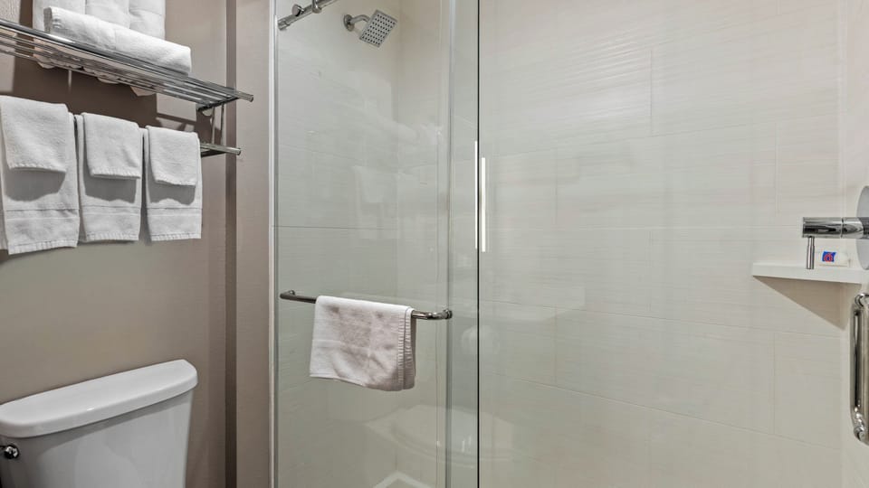 Hair dryer, towels