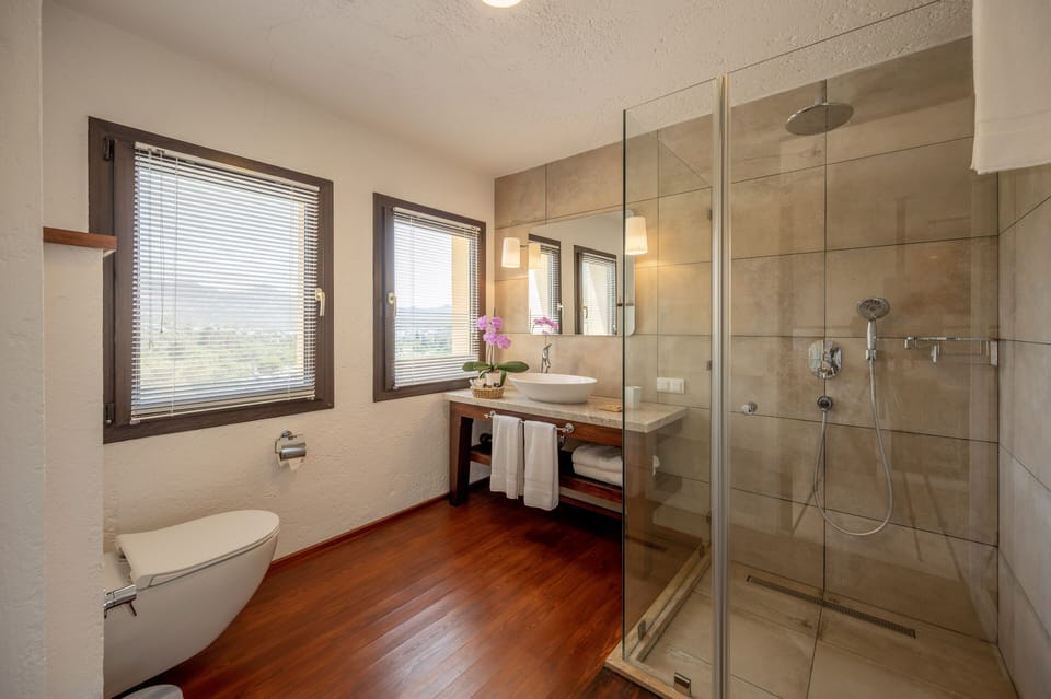 Passionate Room | Minibar, in-room safe, desk, iron/ironing board