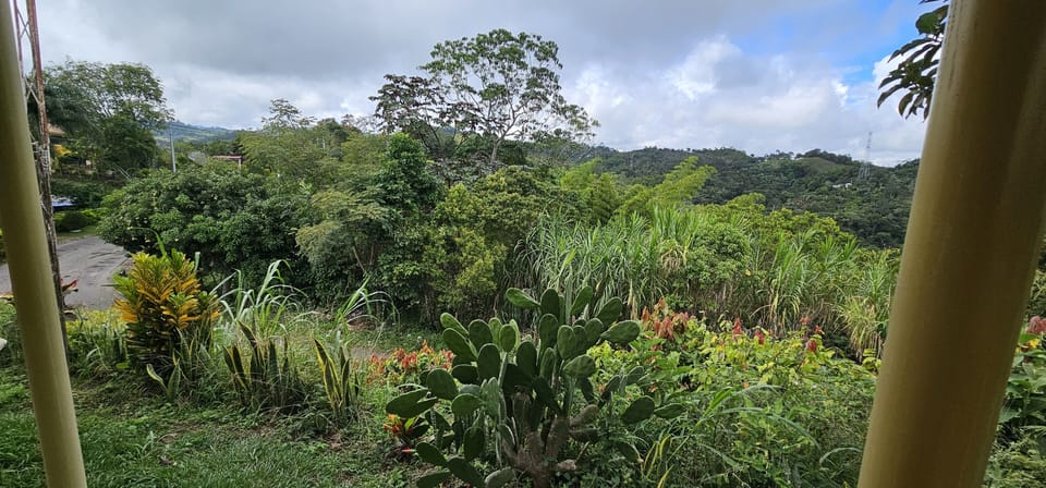 View from property