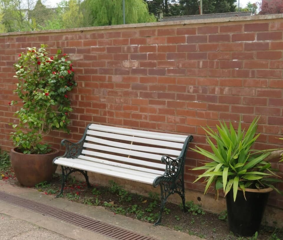 Image 29