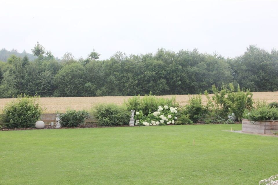 Garden [summer]
