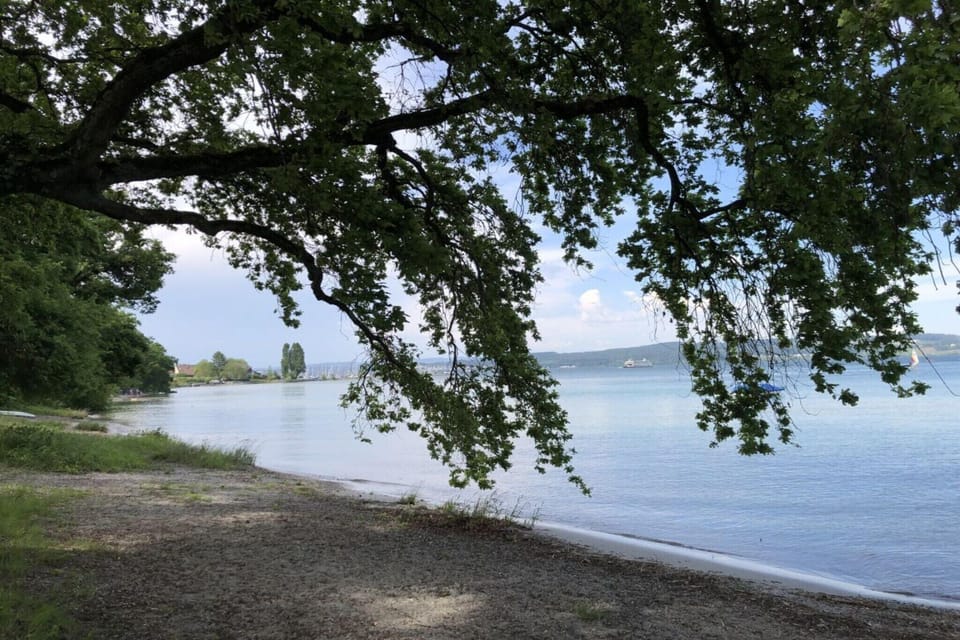 Surroundings [summer] (1-5 km)