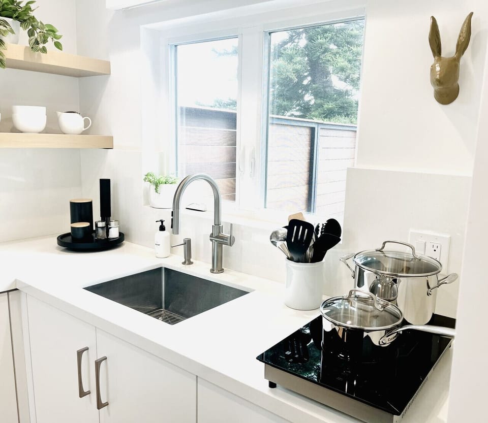 2 burner induction cooktop