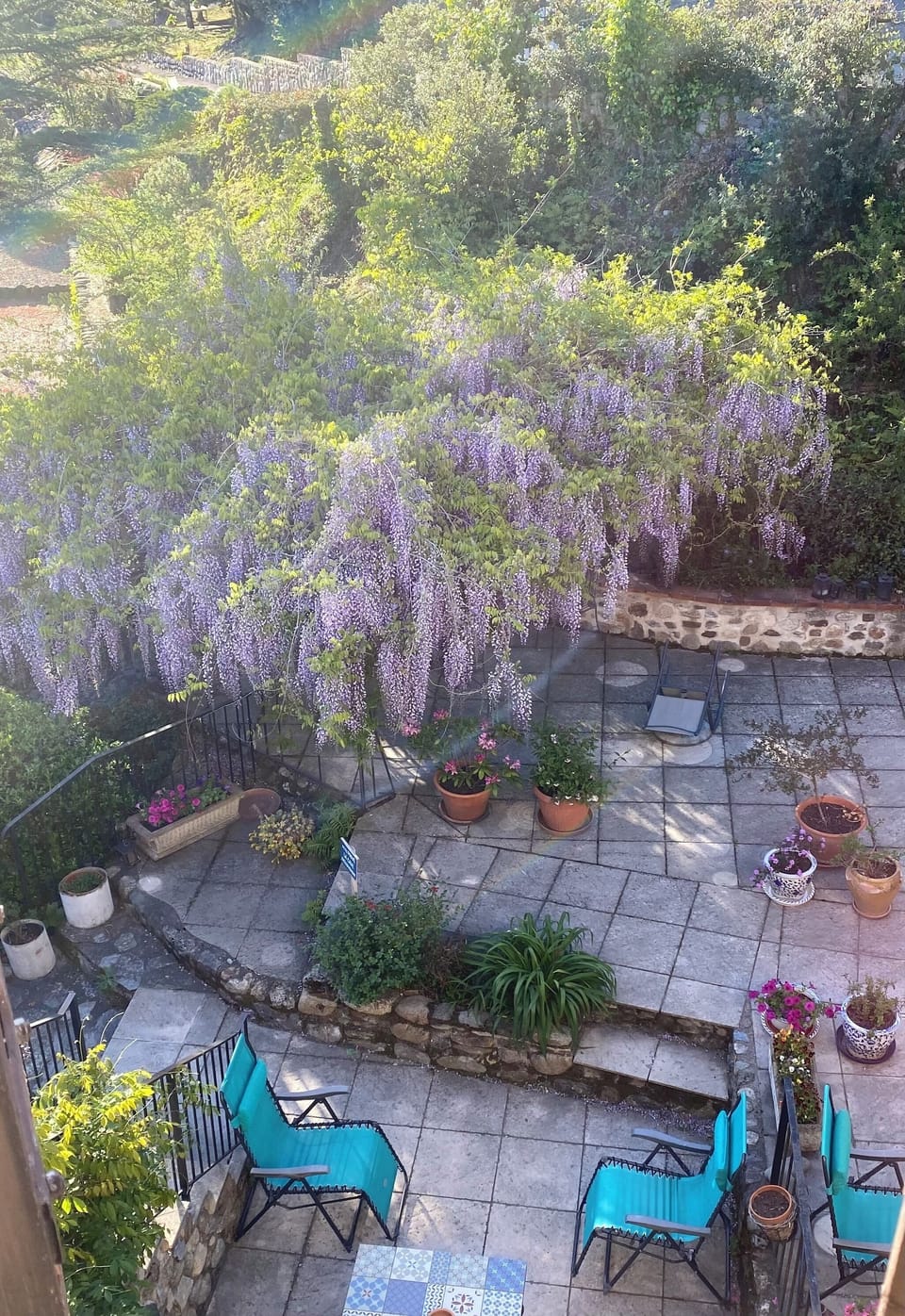 View of the garden out the side window