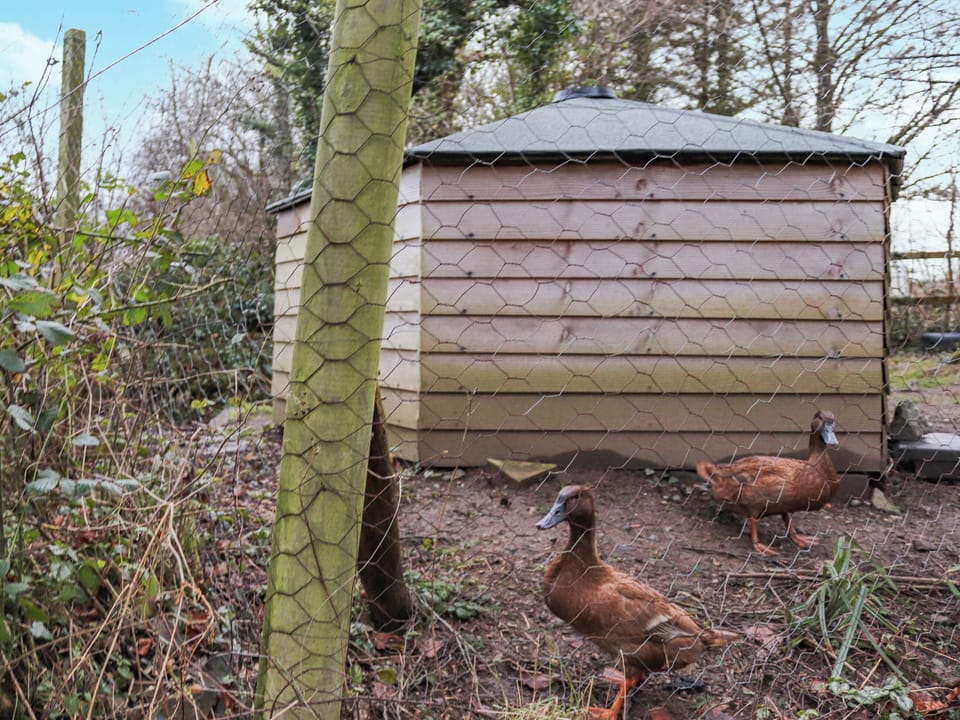 Surrounding area | The Lodge - Island Hut Retreats, Rhosmeirch, near Benllech
