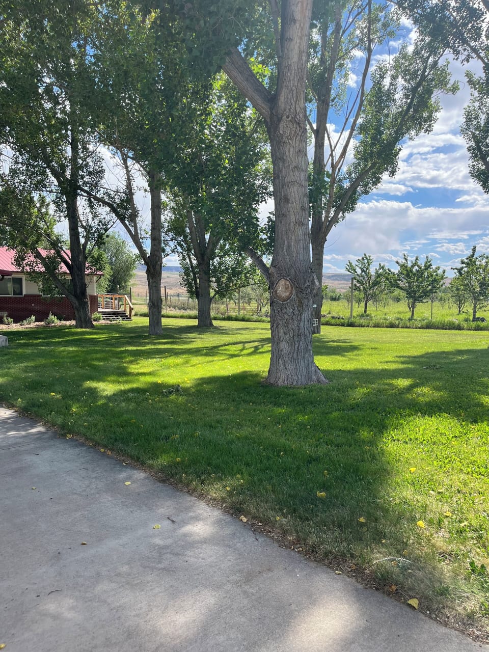 Side yard take a shot at frisbee golf 