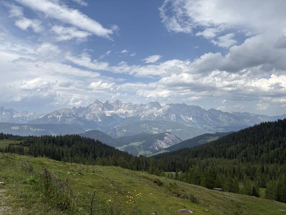 View