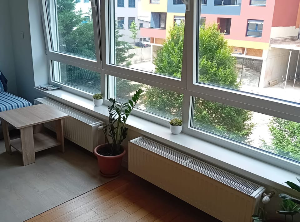 Apartment (Apartments Cankareva) | View from room