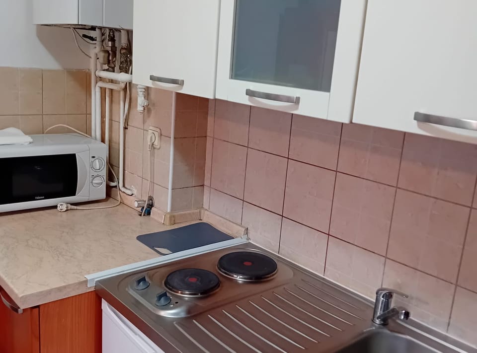 Studio (Apartments Petrova) | Private kitchen | Fridge