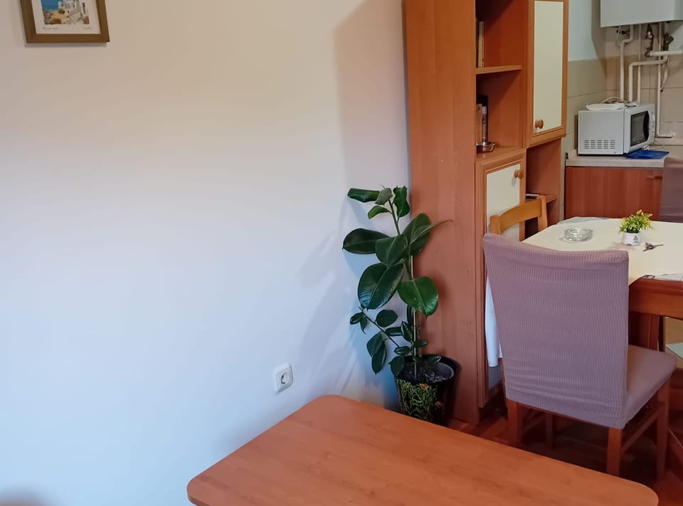 Studio (Apartments Petrova) | Living room | 32-inch flat-screen TV with cable channels