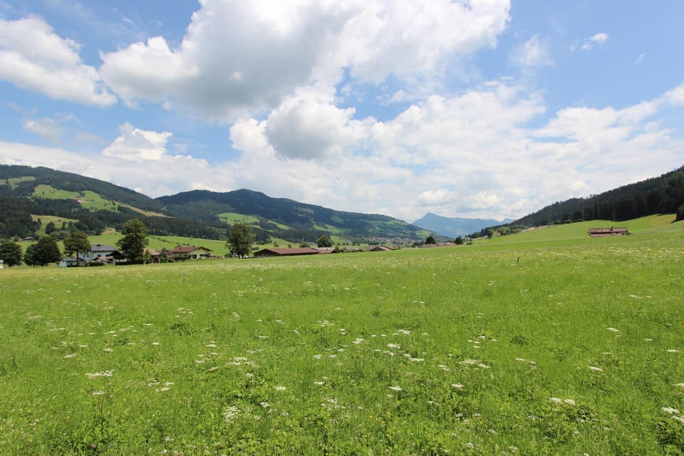 Chalet | View from property