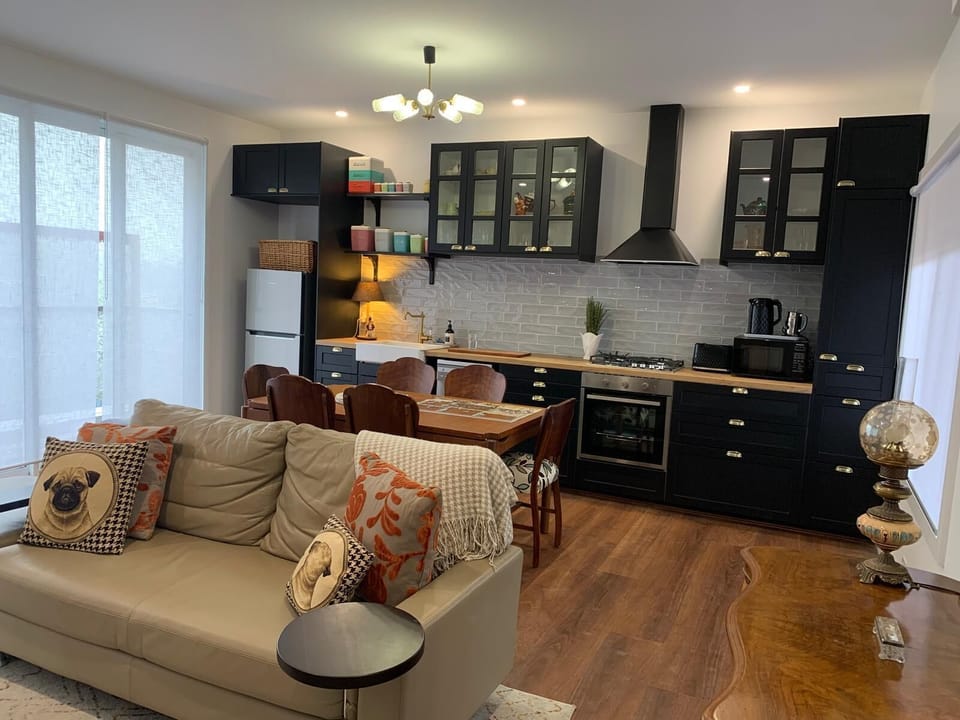 Main living room with kitchen and dining area