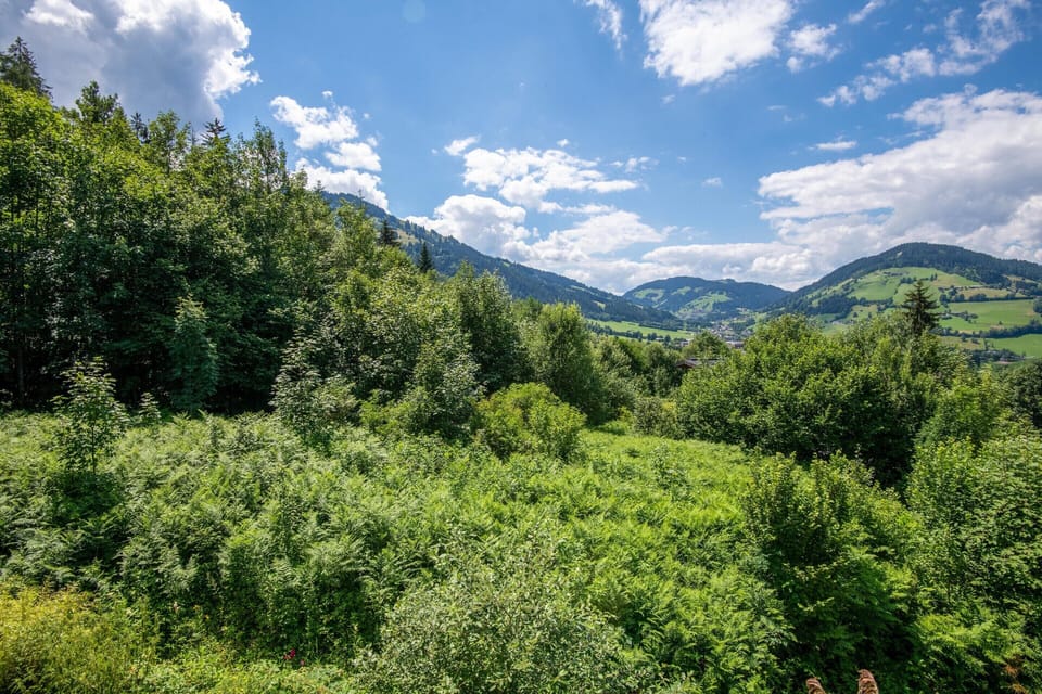 Villa | View from property