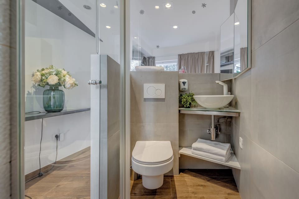 Double Room | Bathroom | Shower, hair dryer, towels, soap