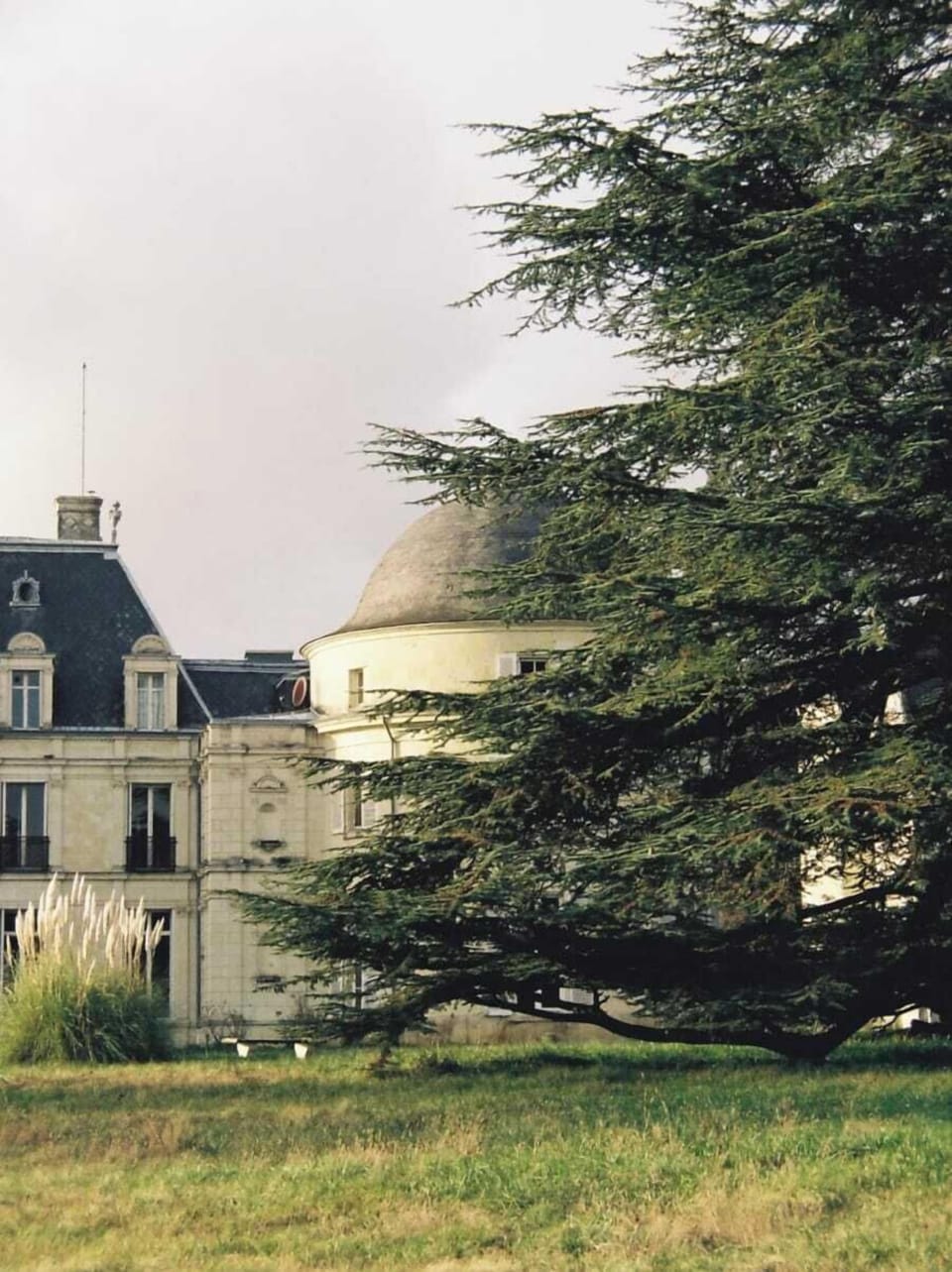 Park view