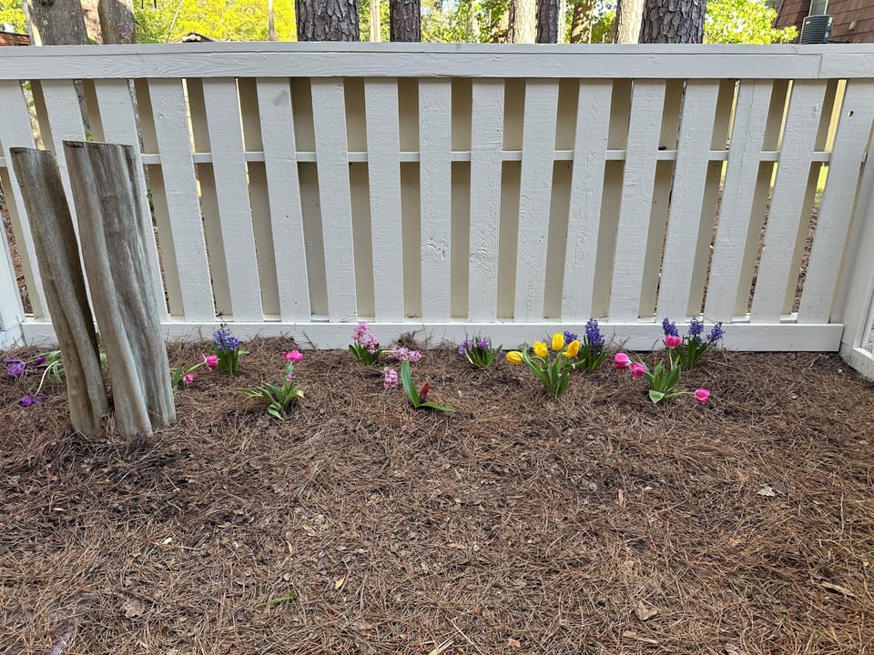 Private patio garden