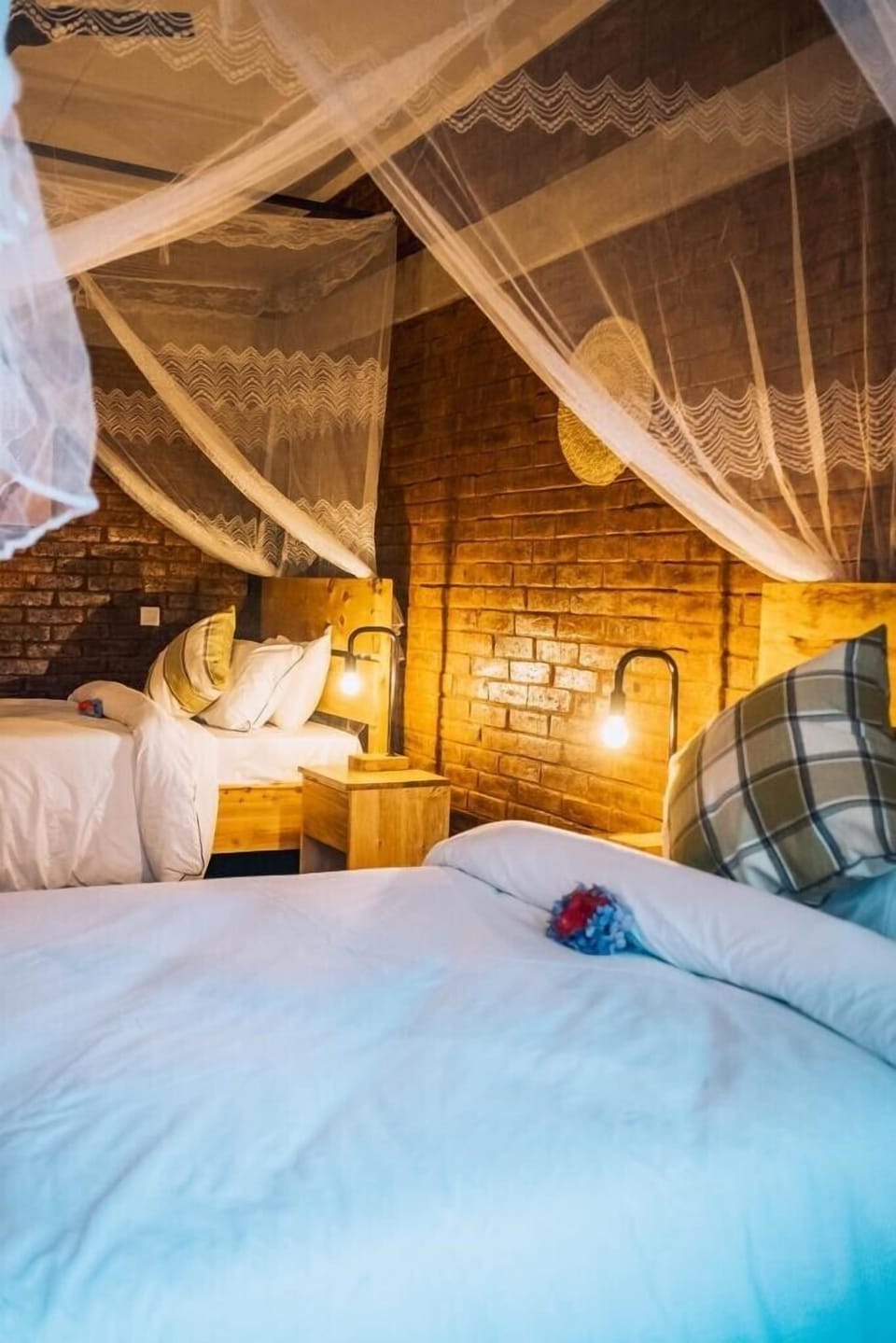 Deluxe Twin Room, Garden View | Free WiFi