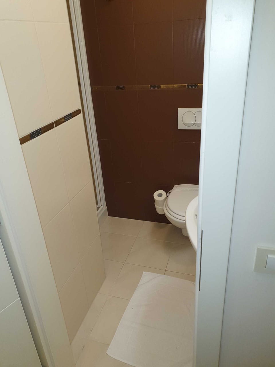 Apartment (Two Bedroom Apartment) | Bathroom | Towels