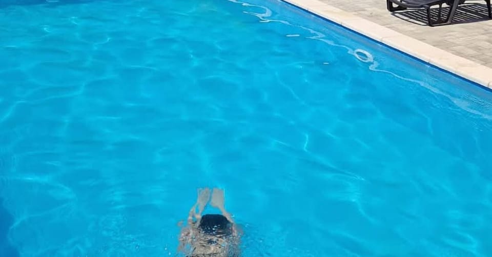 House (Five Bedroom Holiday Home with Terrac) | Outdoor pool
