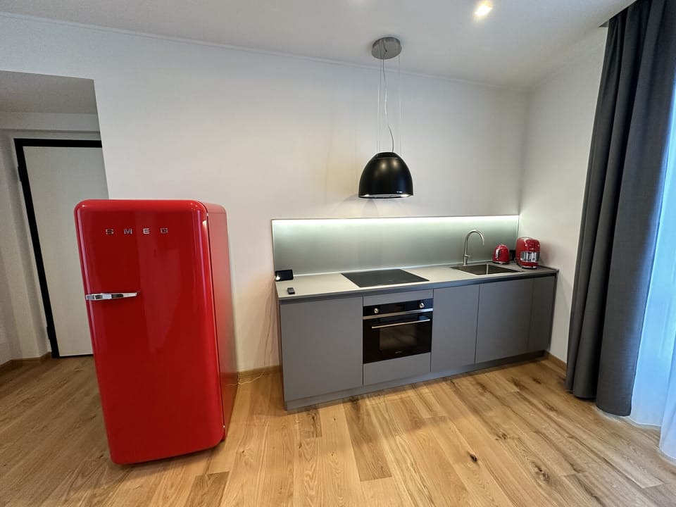 Kitchenette with induction hob, hood , combi oven (microwave and electric), sink, refrigerator, kettle, coffee pod machine, dishes, plates, glasses and cutlery.