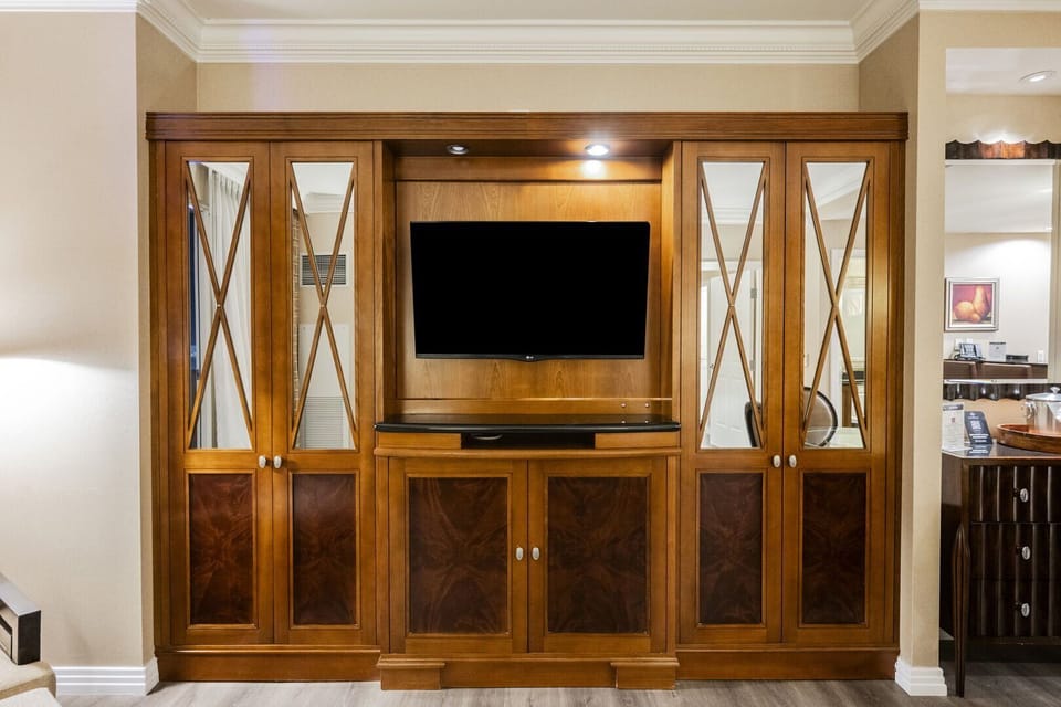 Television
