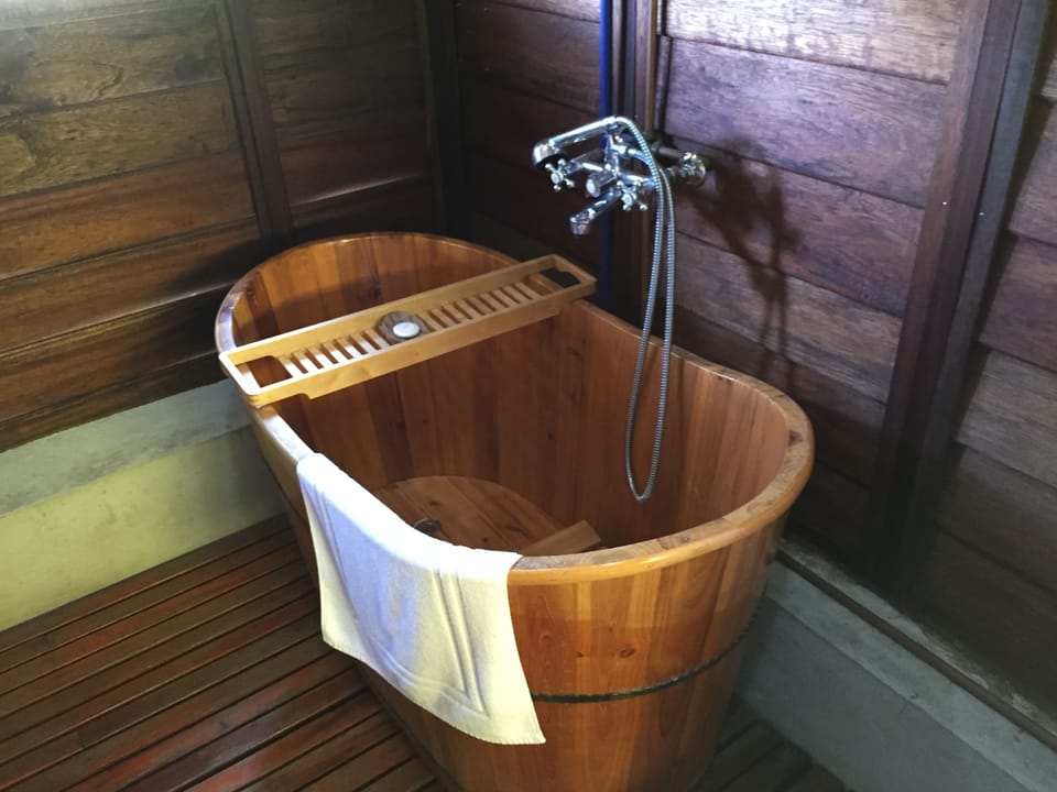 Separate tub and shower, free toiletries, hair dryer, bidet