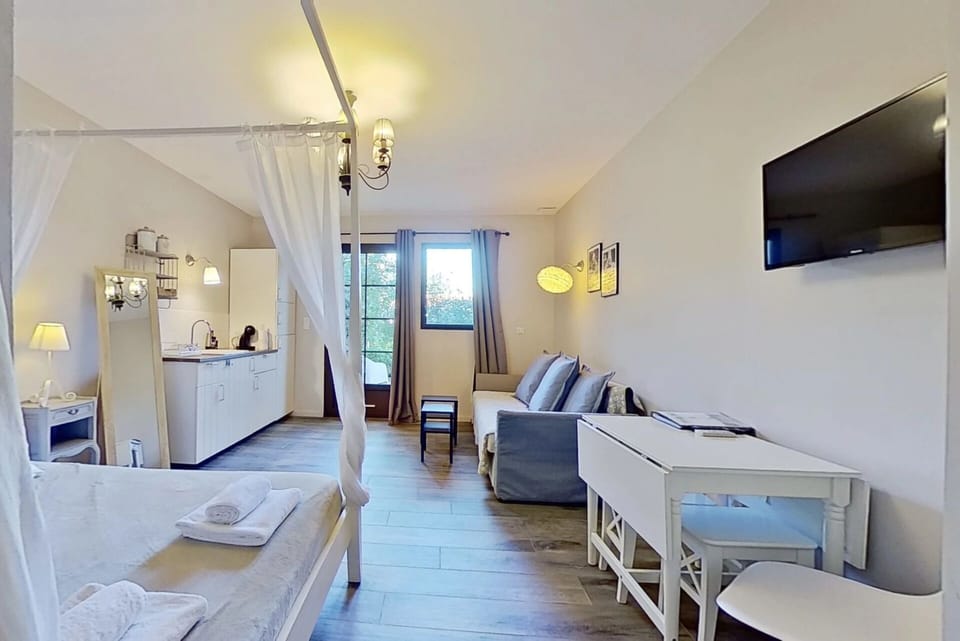 Classic Room, Patio, Garden View | Living area | TV