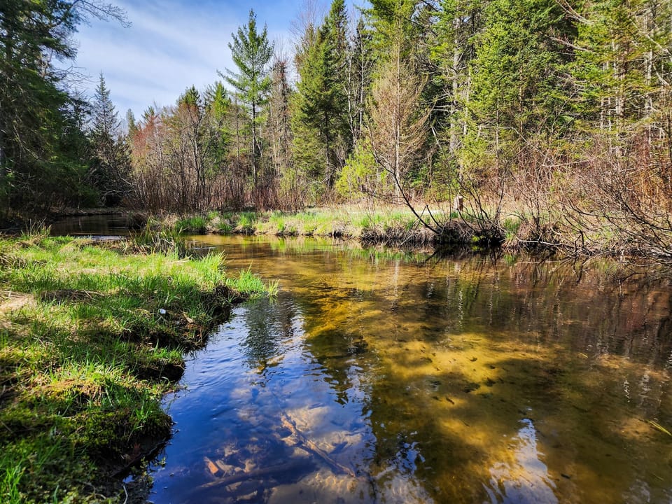 "Our daughter loved wading in the creek looking for frogs, and our nightly campfires were the highlight of our stay - not to mention more stars than we’ve ever seen in our lives." -Julia Sept 22