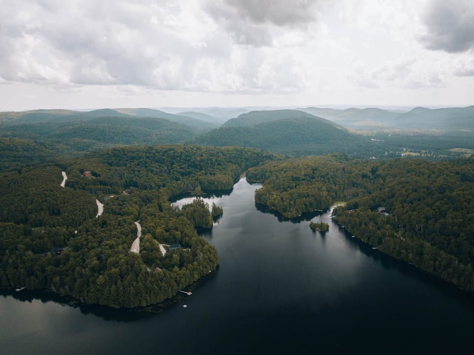 Aerial view of the forest