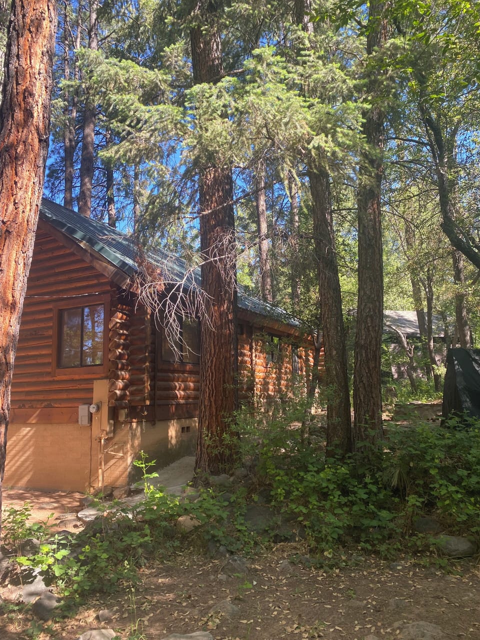 Log Cabin