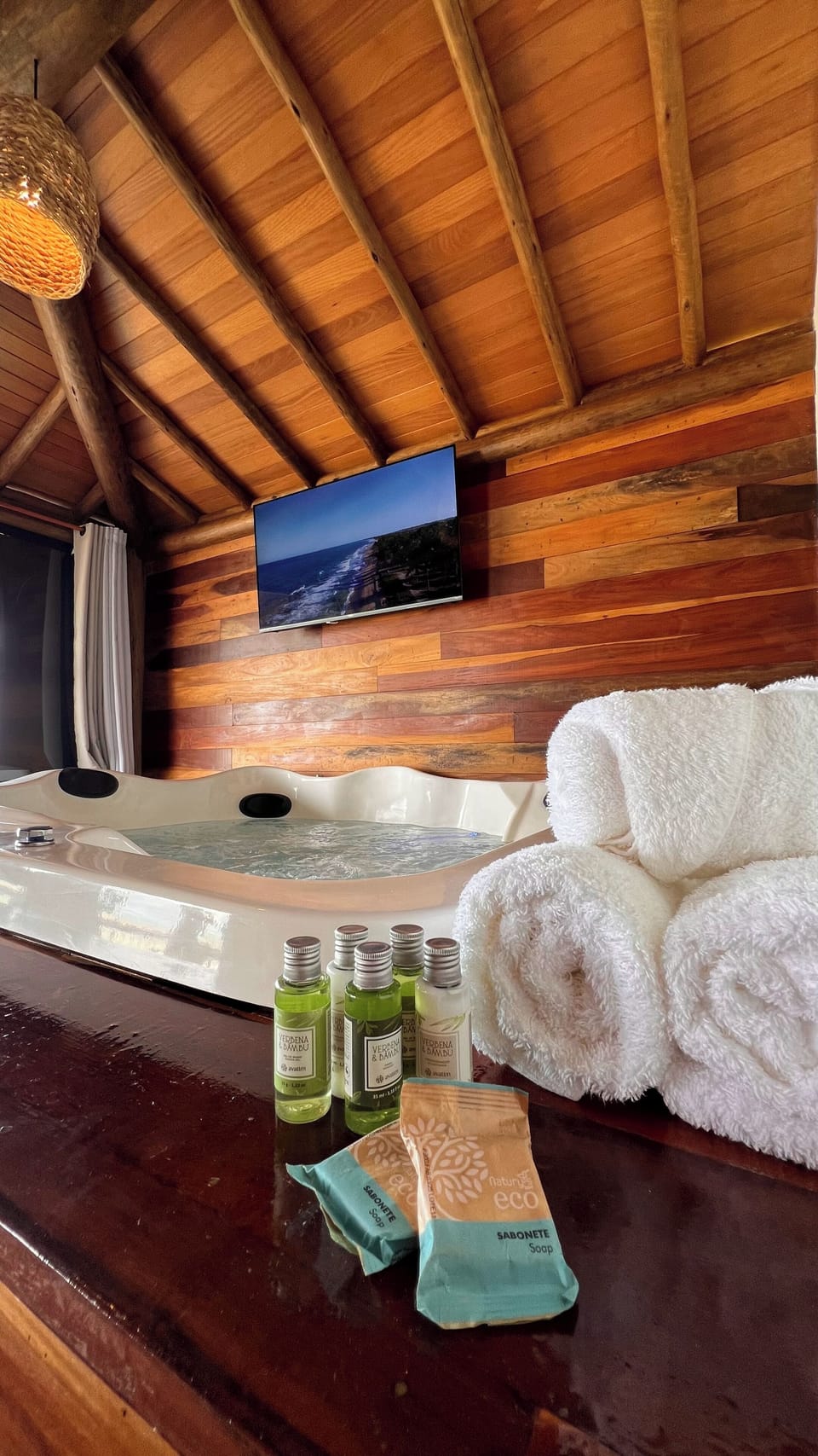 Deluxe Apartment, Lanai, Sea View | Minibar, free WiFi