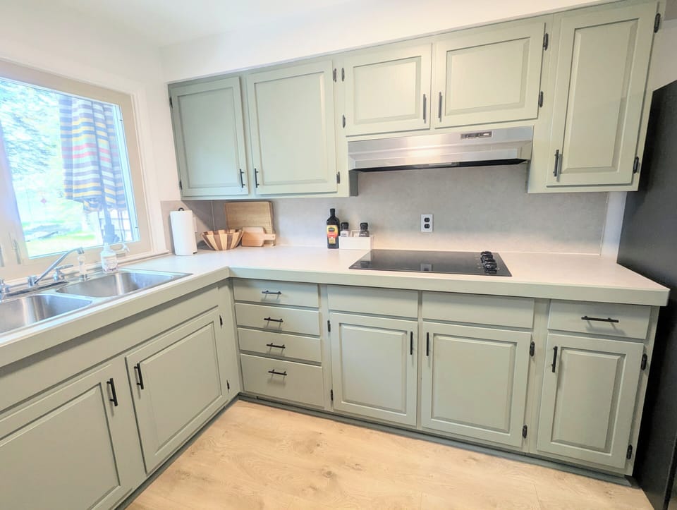 Fridge, stove, DW, oven, coffee maker, microwave, toaster, blender... and more