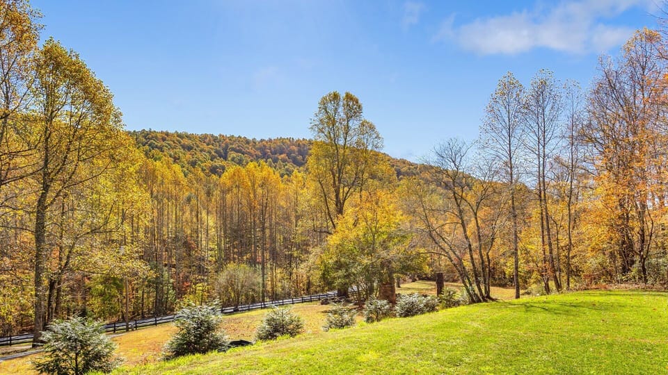 View from cottage deck