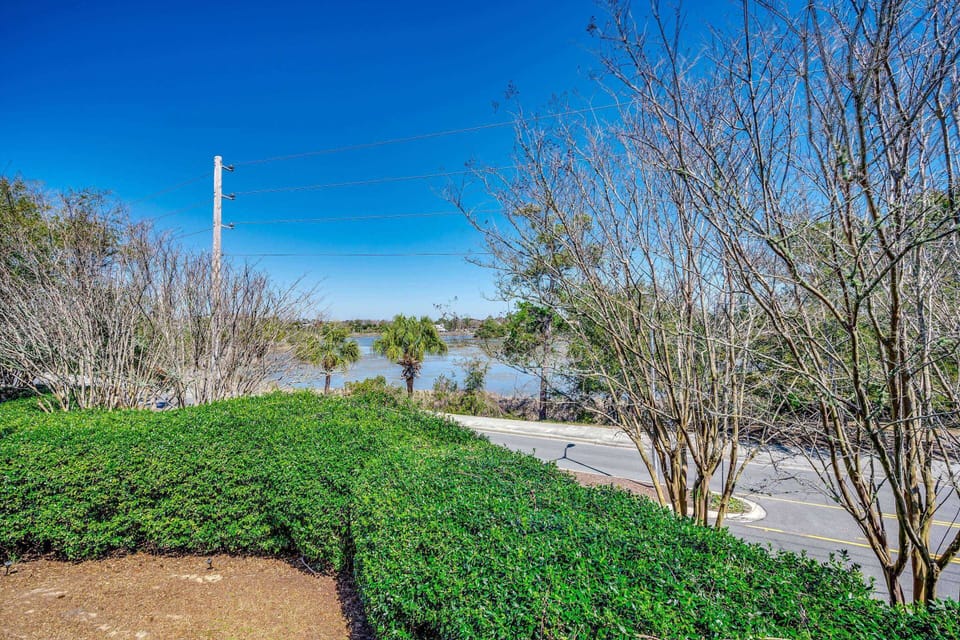 View of the saltwater marsh