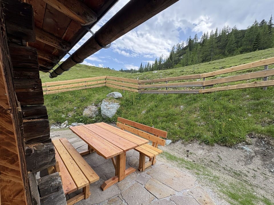 Wood, Plank, Hardwood, Larch, Lumber
