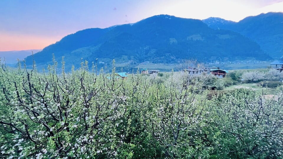 Deluxe Room with Private Balcony | Balcony view