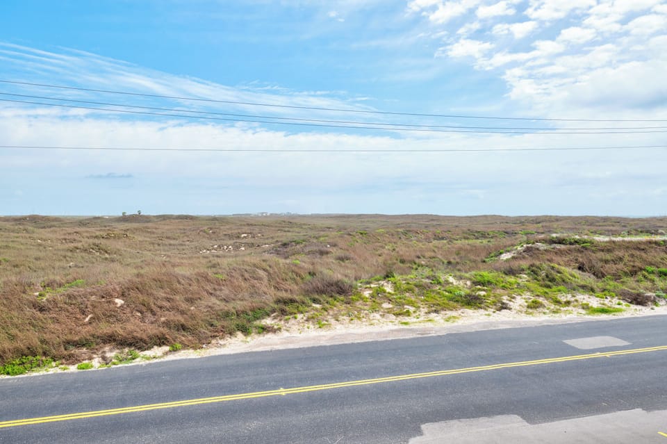 Coastal road winds through expansive moorland with native vegetation and distant ocean views under bright blue skies.