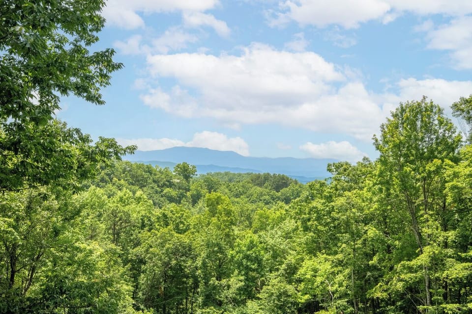 A pristine mountain landscape frames the surrounding area, with distant peaks visible through lush green forest canopy under summer skies.