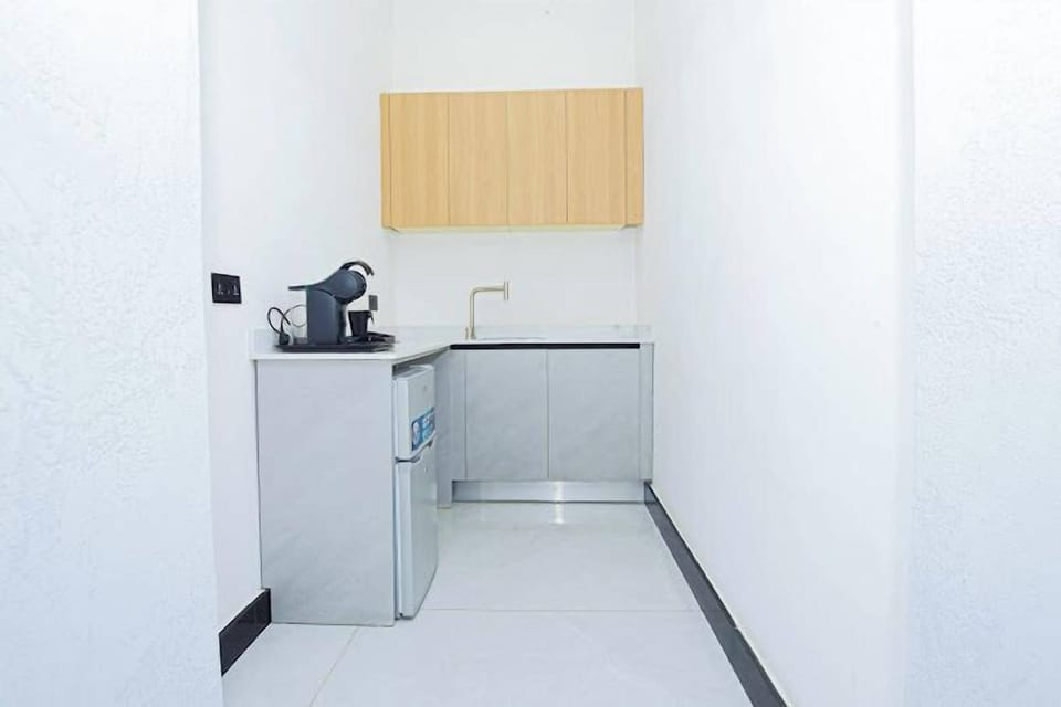 Economy Apartment, Balcony, City View | Private kitchen | Fridge, microwave, oven, stovetop