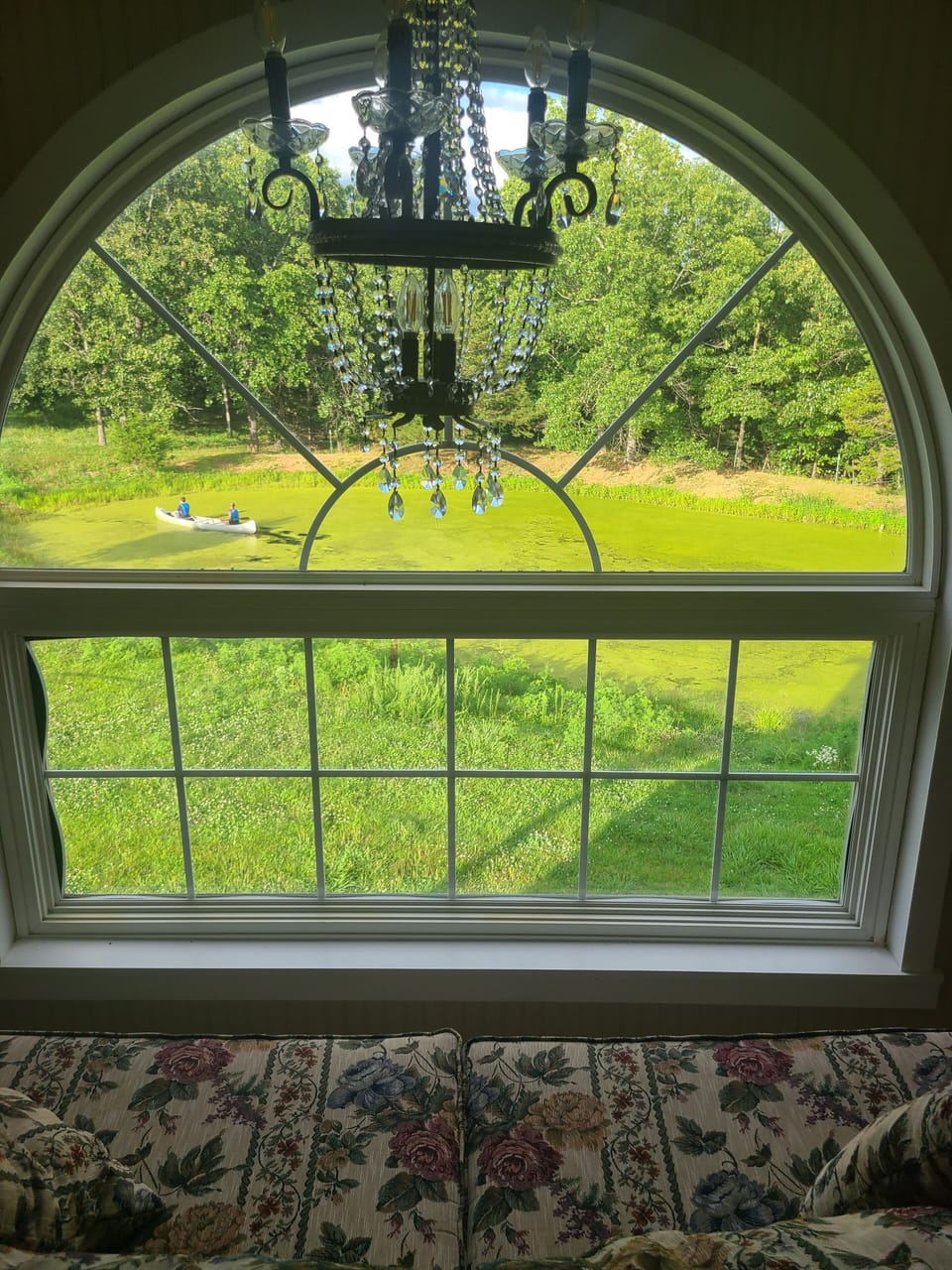 View from Upstairs Sitting Area, Overlooking the Duckweed Covered Pond 