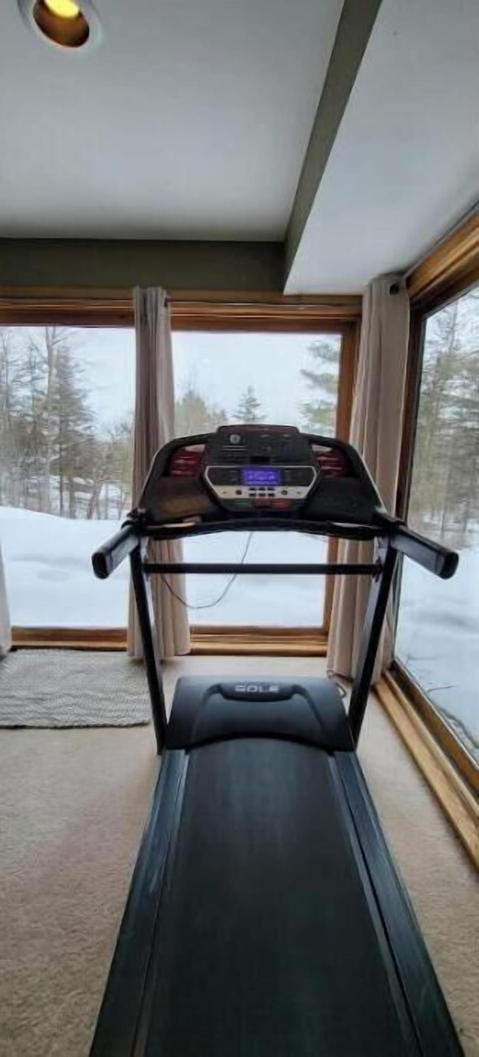 Treadmill with scenic views for indoor workouts.